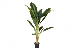 Банановый куст 135 CM