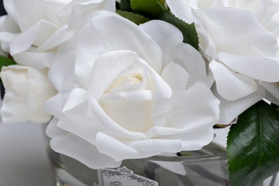 Диффузор Oval White Charente Rose 27X17X21 CM 3