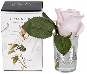 Диффузор Rose Bud French Pink 8X8X14 CM