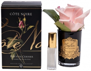 Диффузор Rose Bud Cherry Pink 8X8X14 CM