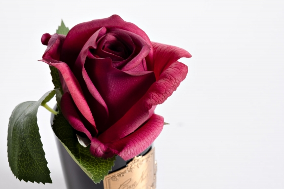 Диффузор Rose Bud Red 8X8X14 CM 3