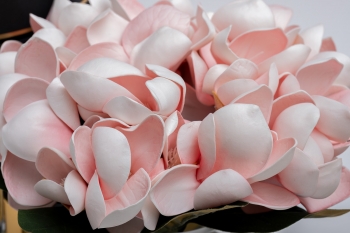 Диффузор Magnolia Pink Winter in Chateau 16X16X25 CM