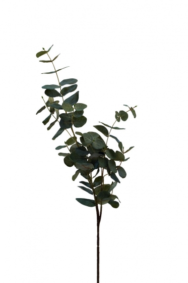 Ветка эвкалипта 90 CM 1