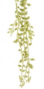Веточка декоративная Weeping Willow 74 CM
