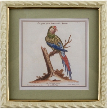 Панно настенное Parrot 22X23 CM