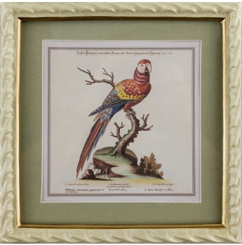 Панно настенное Parrot 22X23 CM