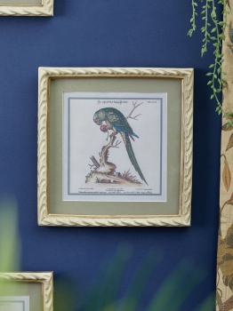 Панно настенное Parrot 22X23 CM