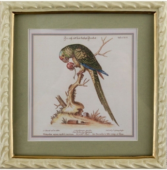 Панно настенное Parrot 22X23 CM
