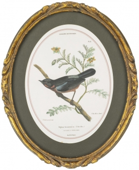 Панно настенное Birdwatcher 23X28 CM