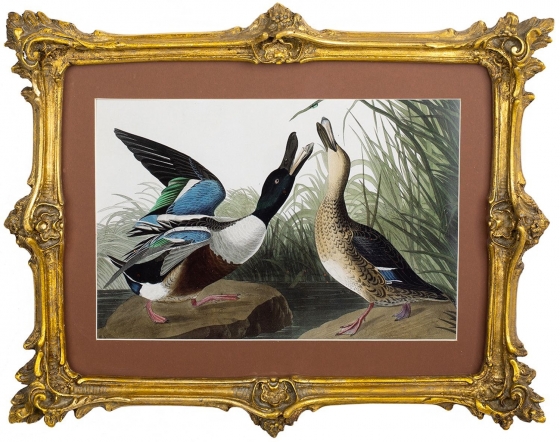 Картина Kuo 39X31 CM 1