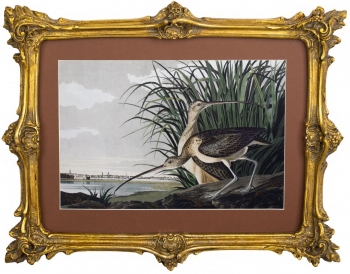 Картина Kuo 39X31 CM