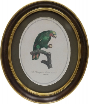 Панно настенное Parrot 25X30 CM