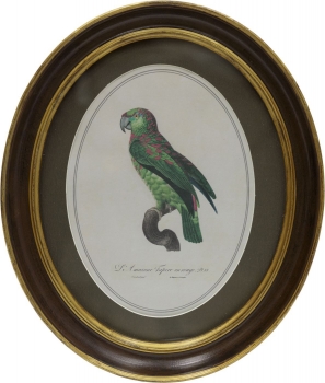 Панно настенное Parrot 25X30 CM