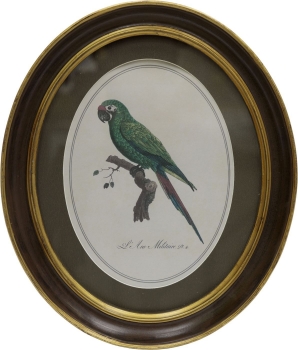 Панно настенное Parrot 25X30 CM