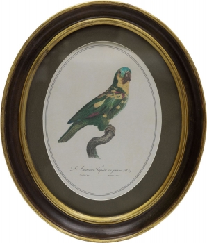 Панно настенное Parrot 25X30 CM