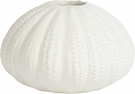 Подсвечник Seashell 11X11X7 CM 1