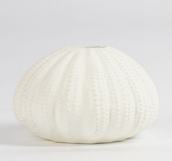 Подсвечник Seashell 11X11X7 CM