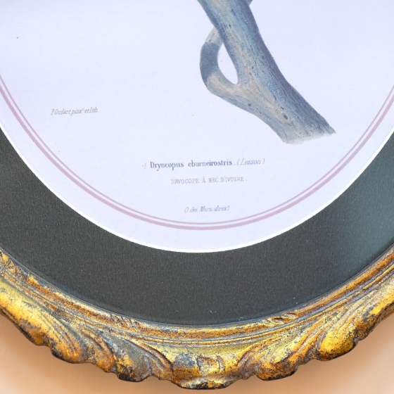 Панно настенное Birdwatcher 23X28 CM 6