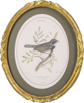Панно настенное Birdwatcher 23X28 CM