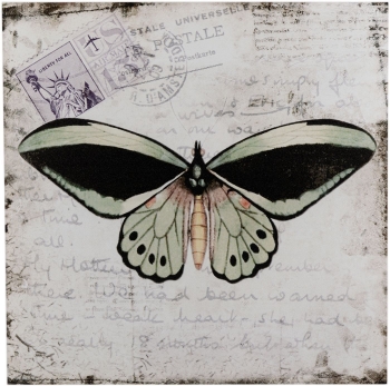 Панно настенное Butterfly 31X31 CM