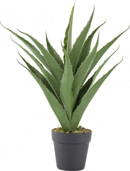 Растение декоративное искусственное Aloe 40X40X56 CM