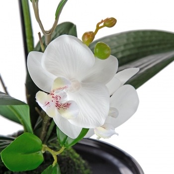 Растение декоративное искусственное Orchid 32X15X34 CM