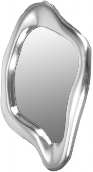 Зеркало настенное Viizo 54X95 CM 1