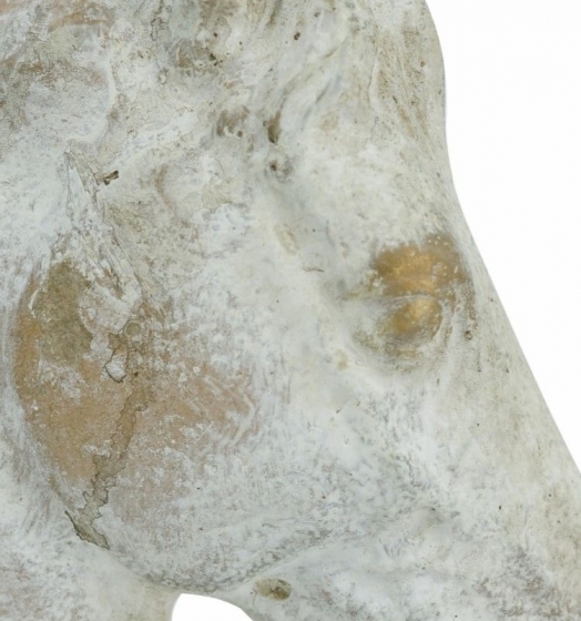 Декор Декор Horse's Head 19X10X27 CM 4