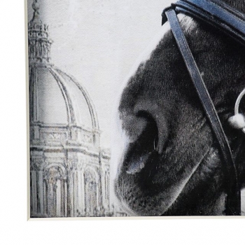 Комплект из двух постеров Horses 56X56 / 56X56 CM