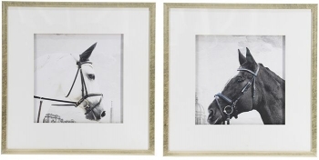 Комплект из двух постеров Horses 56X56 / 56X56 CM