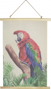 Постер Parrot 50X70 CM