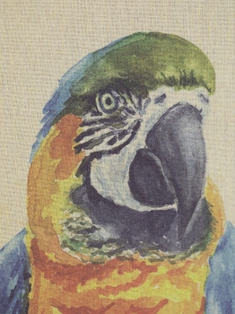 Постер Parrot 50X70 CM