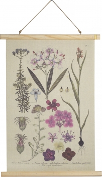 Постер Flora 50X70 CM