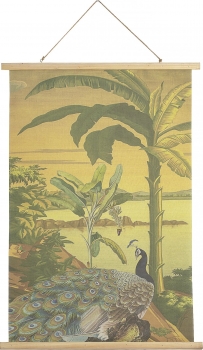 Постер Peacock 70X100 CM