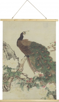 Постер Peacock 70X100 CM
