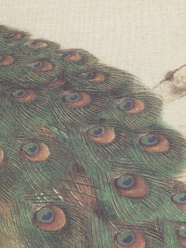 Постер Peacock 70X100 CM
