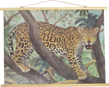 Постер Wild 100X75 CM