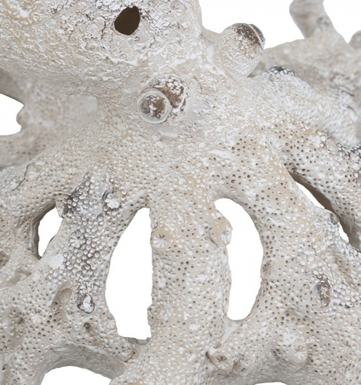 Декор настольный Coral Octopus 28X24X13 CM 4