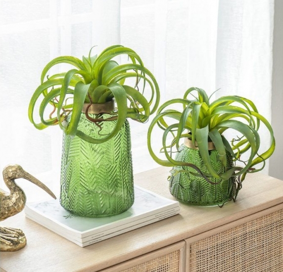 Ваза Jungle 17X17X25 CM 6