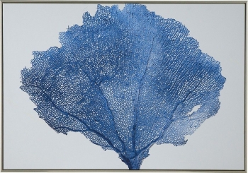 Постер Staloch 100X70 CM