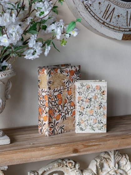 Набор из двух шкатулок в виде книг Danu 18X7X27 / 13X5X22 CM 8