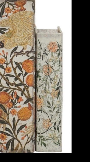 Набор из двух шкатулок в виде книг Danu 18X7X27 / 13X5X22 CM 5