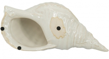Декор настольный Seashell 31X15X11 CM
