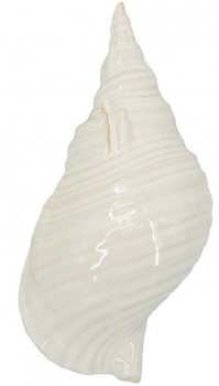 Декор настольный Seashell 31X15X11 CM
