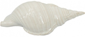 Декор настольный Seashell 31X15X11 CM