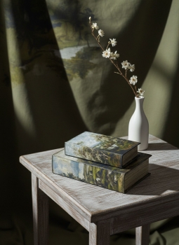 Набор из двух шкатулок в виде книг Bedivere 18X7X27 / 13X5X22 CM