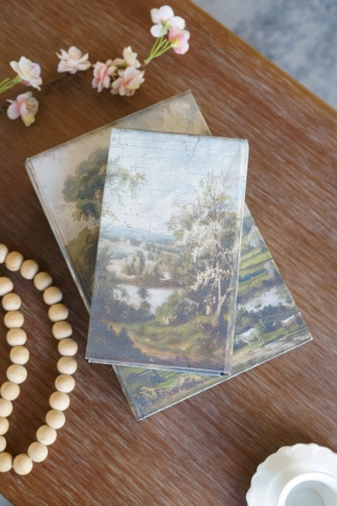 Набор из двух шкатулок в виде книг Bedivere 18X7X27 / 13X5X22 CM 12