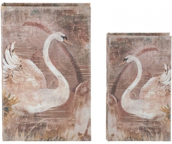 Набор из двух шкатулок в виде книг Belenos 18X7X27 / 13X5X22 CM 6