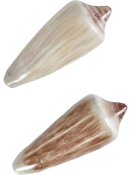 Фигурка Shell Cone Luteus 9X4X4 CM