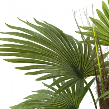 Растение декоративное искусственное Palm Tree 48X68X80 CM